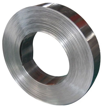 Stainless Steel 310 Strips