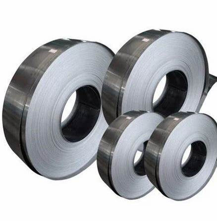 Stainless Steel 316 Strips