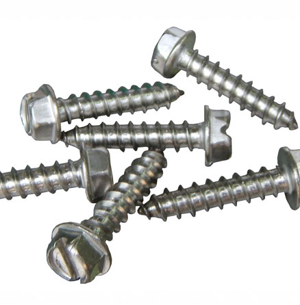 Stainless Steel Screws