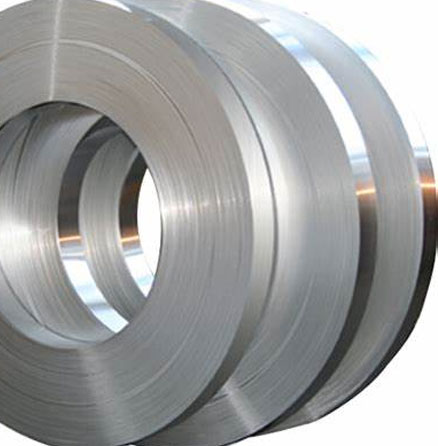 Stainless Steel Strips